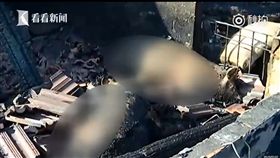 中國大陸,江蘇,大火,火災,豬圈,豬舍（圖／微博）