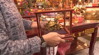 雞吃米、龜喝水！求財「神器」怎麼求