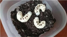 巧克力,日本,義理巧克力,情人節,朋友　圖／翻攝自推特