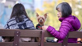 陽光露臉　民眾享受日光浴（2）大台北地區10日陽光久違地露臉，許多民眾把握晴朗好天氣，帶著寵物在台北二二八和平紀念公園內享受悠閒時光。中央社記者吳翊寧攝　106年12月10日