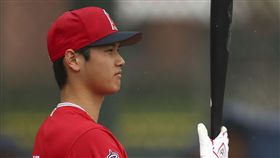 大谷翔平投入天使隊春訓。(圖／美聯社／達志影像）