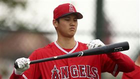 大谷翔平投入天使隊春訓。(圖／美聯社／達志影像）