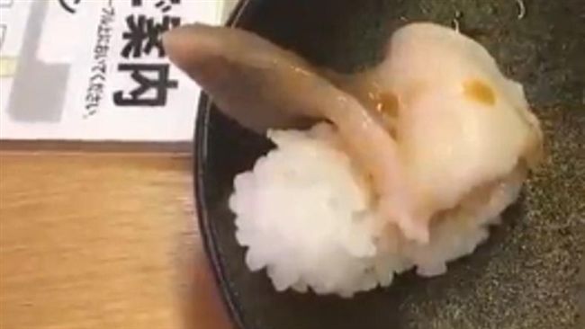 太新鮮？生魚片上桌後竟不斷「勃起」