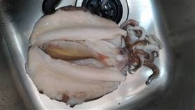 軟絲肚裡有魚…她氣炸「作生意用騙的」　網酸：買一送一耶