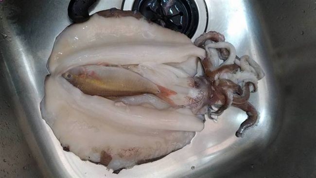 軟絲肚裡有魚　她氣炸：作生意用騙的