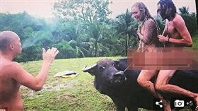 一群英國人大膽裸騎水牛，觸犯菲律賓當地法律。（圖／翻攝Daily Mail）