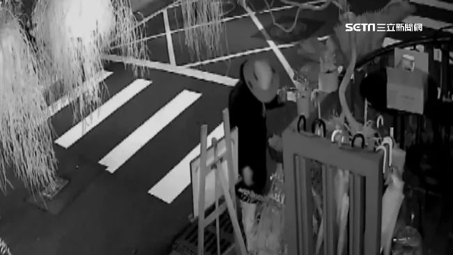 只愛植物？男半夜換裝偷花店萬元石松
