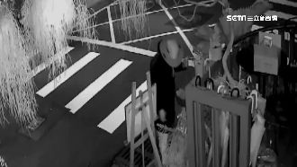 只愛植物？男半夜換裝偷花店萬元石松
