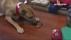 初一遭反鎖 竟是