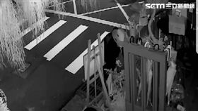 竊盜,石松,鹿角蕨,花店,大安