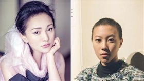 窦靖童，周迅。(合成圖/翻攝自微博)