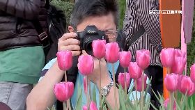 f鬱金香人潮1200