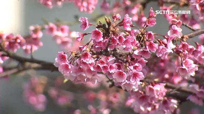 今年土地公生日碰上春分。(示意圖/資料照)