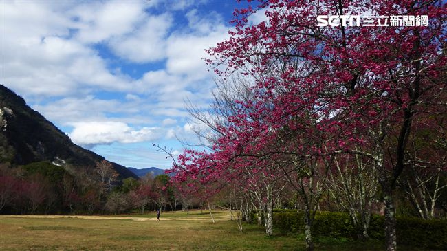 森林遊樂區現人潮　第一名是他