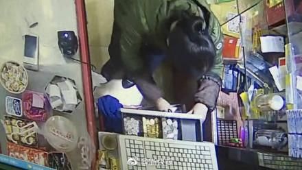 7年偷244萬　店員爽買2房+1車