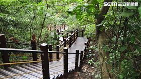 北市祈福步道,貓空健康步道。（圖／大地處提供）