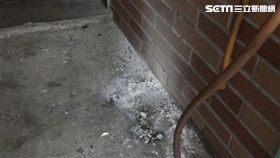 信號彈,洗車場,手遊,忘仙