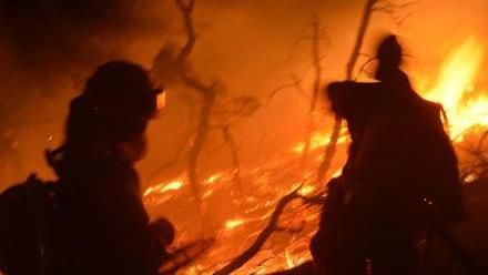 雲南驚傳森林大火　逾200人急搶救