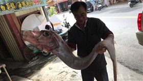 宜蘭地震 當天下午在南方澳釣到地震魚／釣魚人好去處 烏石港 一字堤 龜山島 釣況分享樂　臉書社團