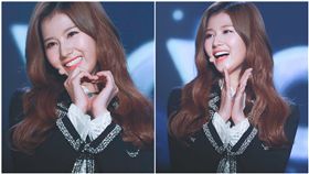 SANA（合成圖/翻攝自臉書）