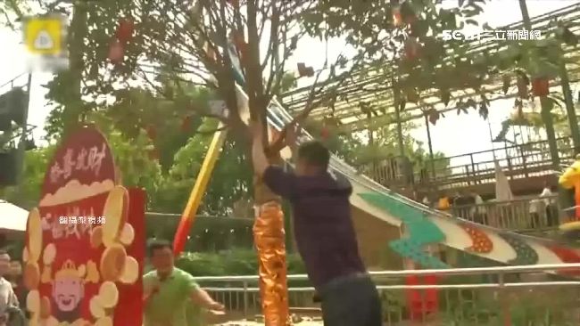 很缺錢？為了拿紅包　陸客搖斷搖錢樹