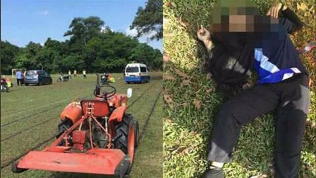 割草機刀片噴飛　女頭遭削成兩半慘亡