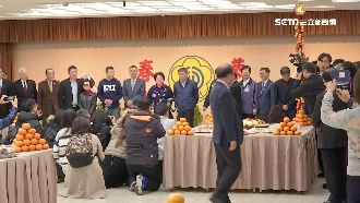 新春團拜綠僅1人到場…柯P這樣回應
