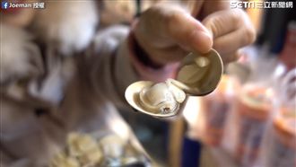 逢甲美食大集合　蛤蜊一入口：超鮮的