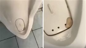 小便斗,上廁所,雞佛,睪丸,葫辣,爆廢公社,蛋蛋,尿尿
（圖／翻攝自爆料公社）