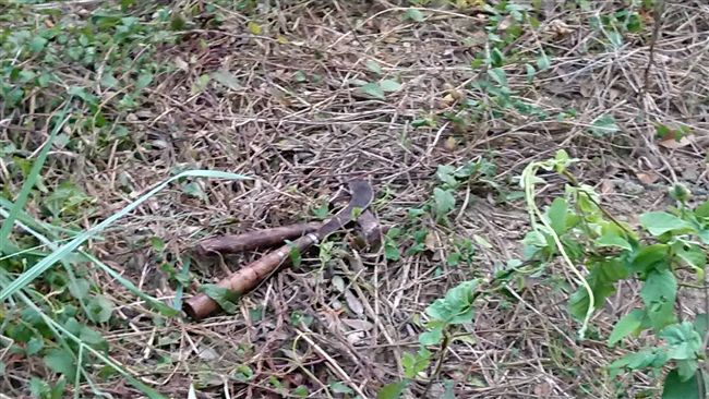 疑土地糾紛！男女陳屍路邊留鐵槌鐮刀
