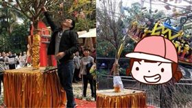 搖錢樹,大陸,廣東,佛山,現金,紅包,搖樹,祝福,春節,遊客　圖／翻攝自人民日報