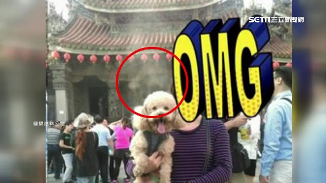 祖師廟狗祖先入鏡？網友留影見神蹟