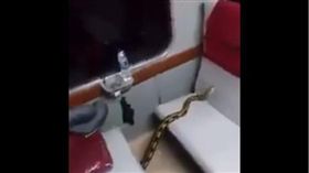 4公尺蟒蛇出現在火車　秒被乘客制伏（圖／翻攝自Hedwin推特）
https://twitter.com/hedwigus/status/966243739650830336