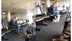 美國,柯基,寵物,毛小孩,敏銳,第六感,汪星人,治療犬,貼心,暖心　圖／翻攝自Madison Palm臉書