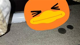 上汽車旅館發現假陽具、假牙_爆廢公社