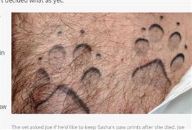 澳洲男子,狗,腳印（圖／翻攝自ABC廣播網