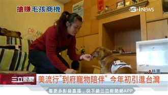 美流行到府寵物陪伴　今年初引進台灣