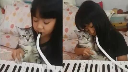 被奴才抓來彈琴　喵皇眼神死超無奈！