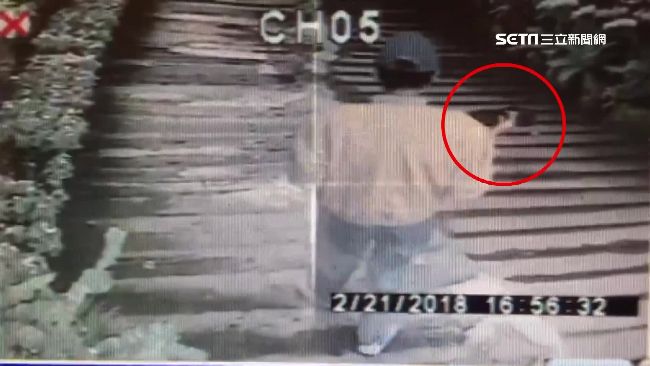 遊客初六遊農場　順手牽「豬」被抓包
