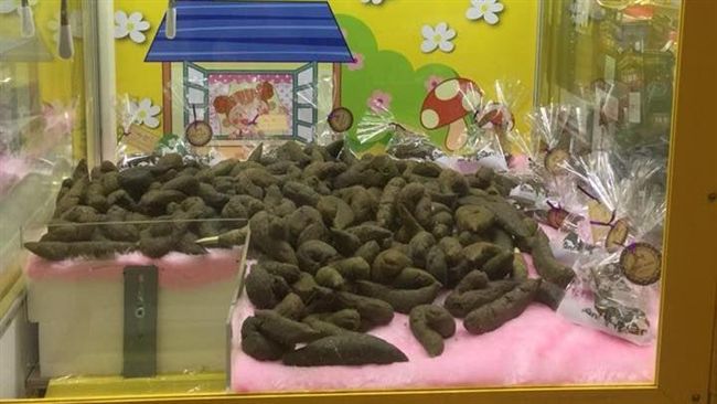 狂！娃娃機滿坑狗屎任你夾　網笑好臭
