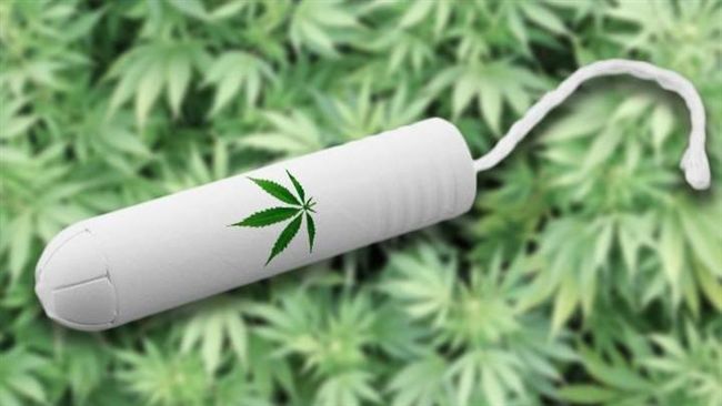 美推「大麻棉條」　20分鐘緩解經痛