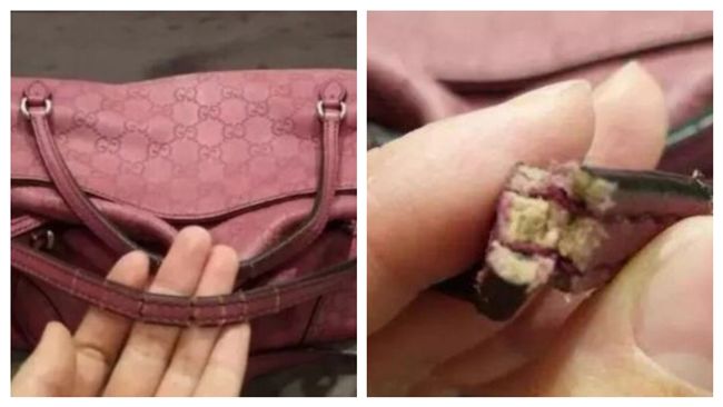 古馳包提手嚴重龜裂　竟是紙做的…