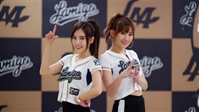 LamiGirls新女孩。（圖／桃猿提供）