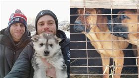 美國滑雪名將柯沃西（Gus Kenworthy）參訪南韓狗肉工廠，領養一隻狗回家 圖／翻攝自guskenworthy　IG