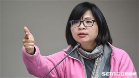 民進黨立委林淑芬於衛生及環境委員會質詢。 圖／記者林敬旻攝