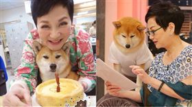 張小燕/翻攝自臉書