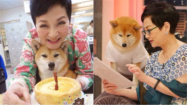 入行65年！張小燕2度卸主持棒因…