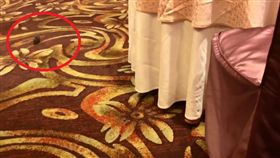 台北車站旁飯店用餐　驚見料理鼠王／爆料公社