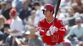 ▲洛杉磯天使球星大谷翔平春訓首次打者身分出賽。（圖／美聯社／達志影像）