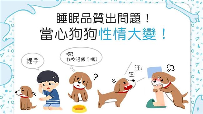 狗狗沒睡飽12小時　當心亂攻擊人
